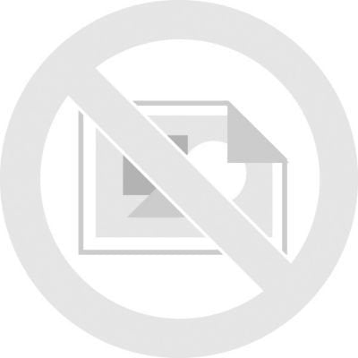Avery AVE05418 - Avery Print or Write Removable Multi-Use Labels
