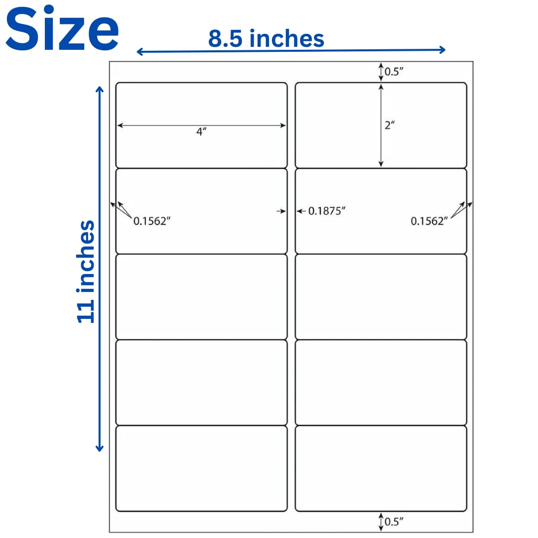 2x4 inches Color Address Labels - Fluoroscent Address Label (Orange)