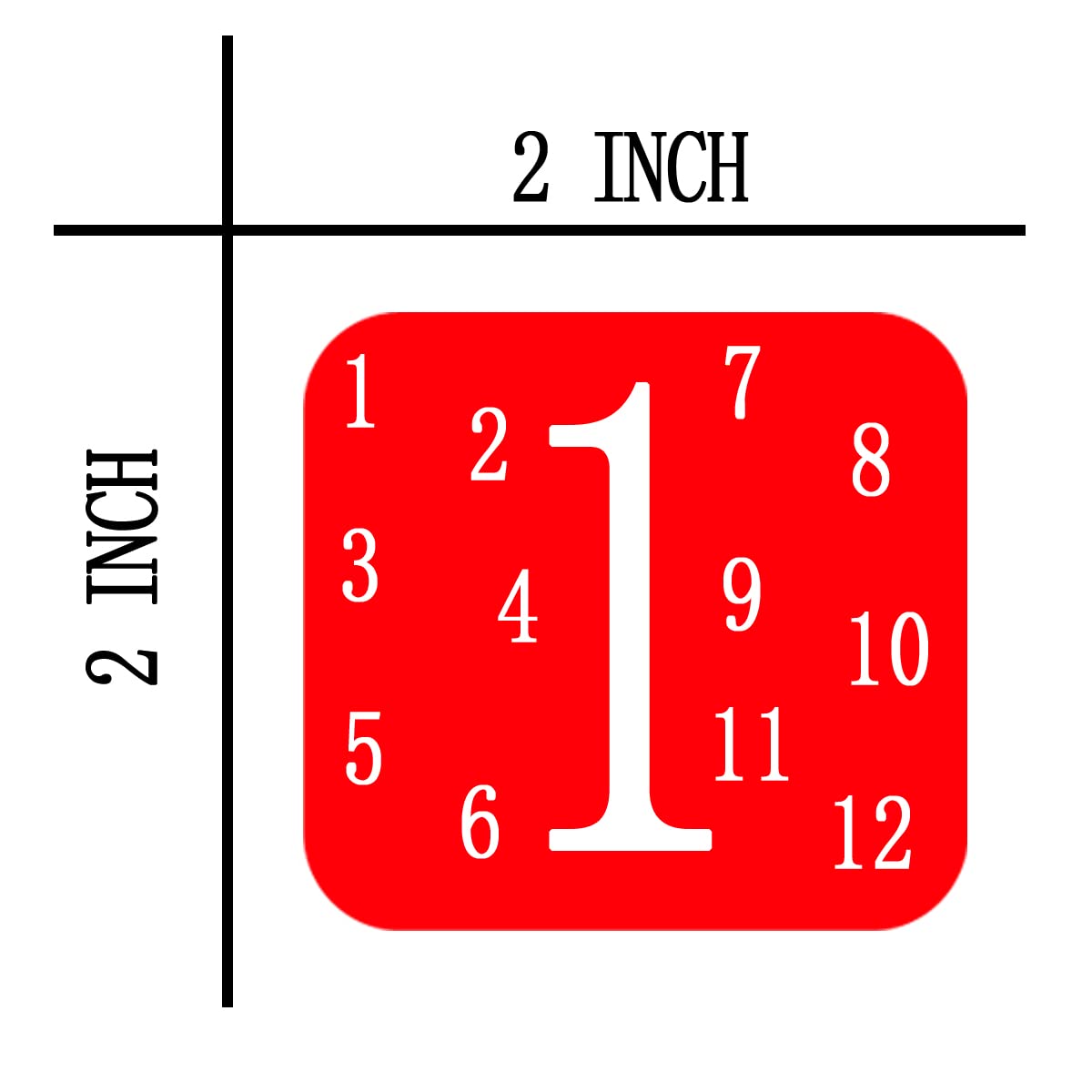 Top Label Math Multiples Stickers,2 Inch Multiplication Numbers 1-12 Label Stickers,504 Pcs