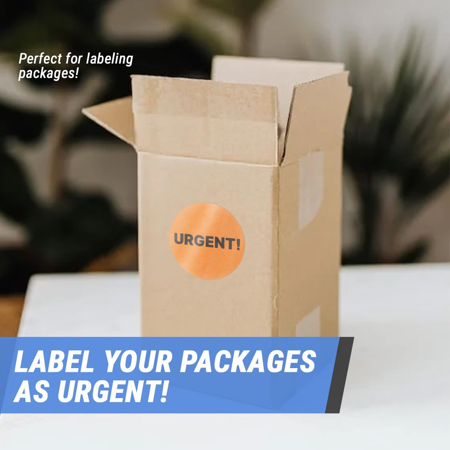 Urgent Labels (1.5 inch, Circle Dot - 300 Labels) Clear & Bold Urgent Signage Stickers for Important Shipments, Packages, Back-Stock, Shipping & Handling