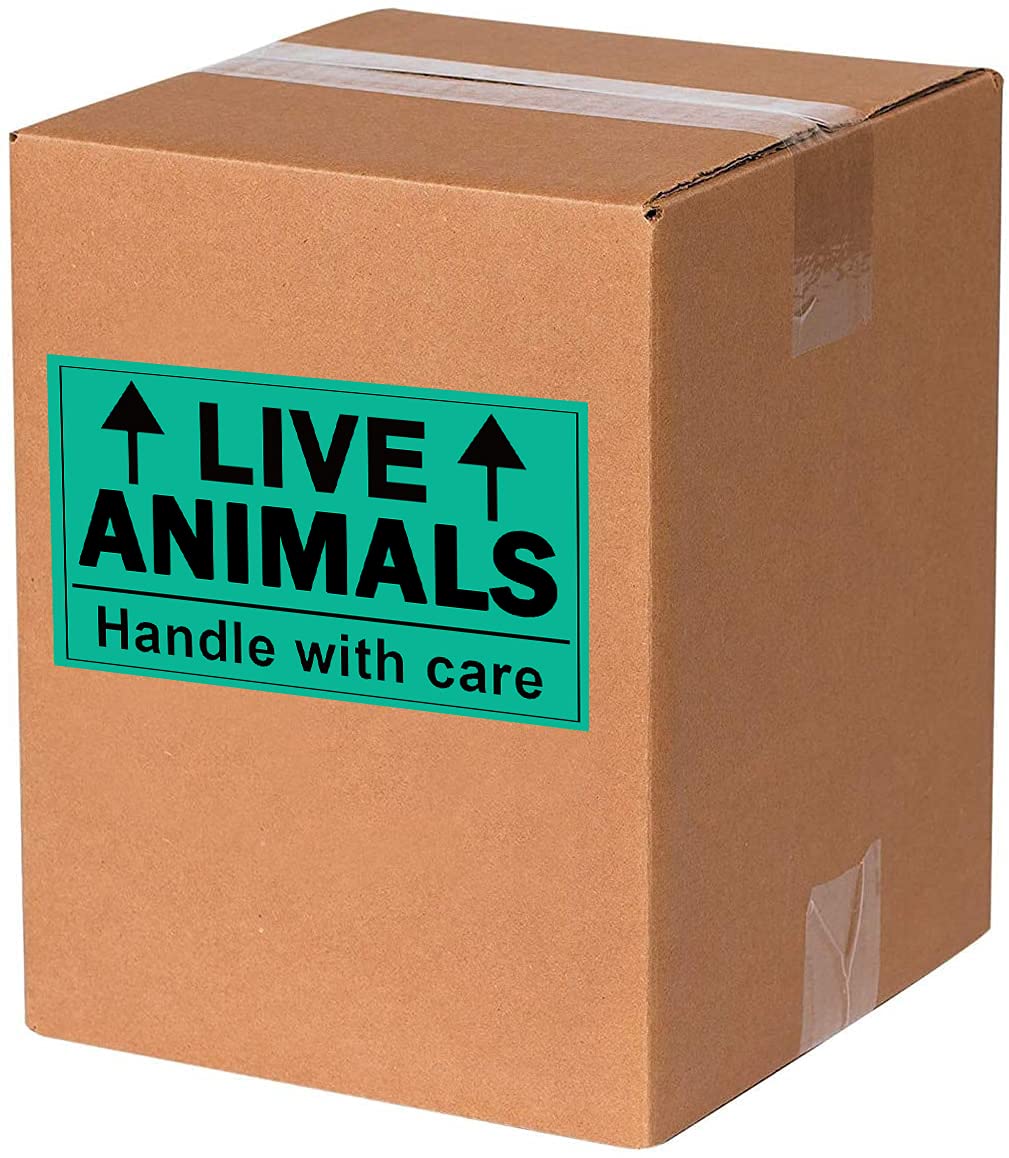 Remarkable Live Animals Please Handle with Care Stickers,2 X 3 Inch Fluorescent Fragile Shipping Label Stickers for Shipping and Packing (250 Adhesive Labels)
