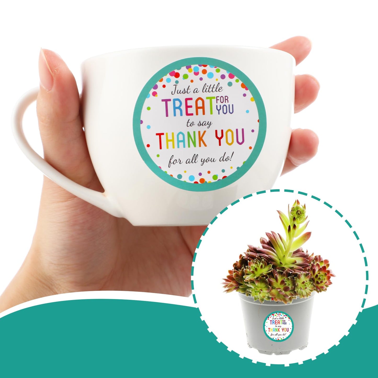 120 Pcs Thank You Stickers, 2 Inch Colored Dot Teacher Appreciation Stickers, Small Business & Gift Wrapping Labels 120 PCS