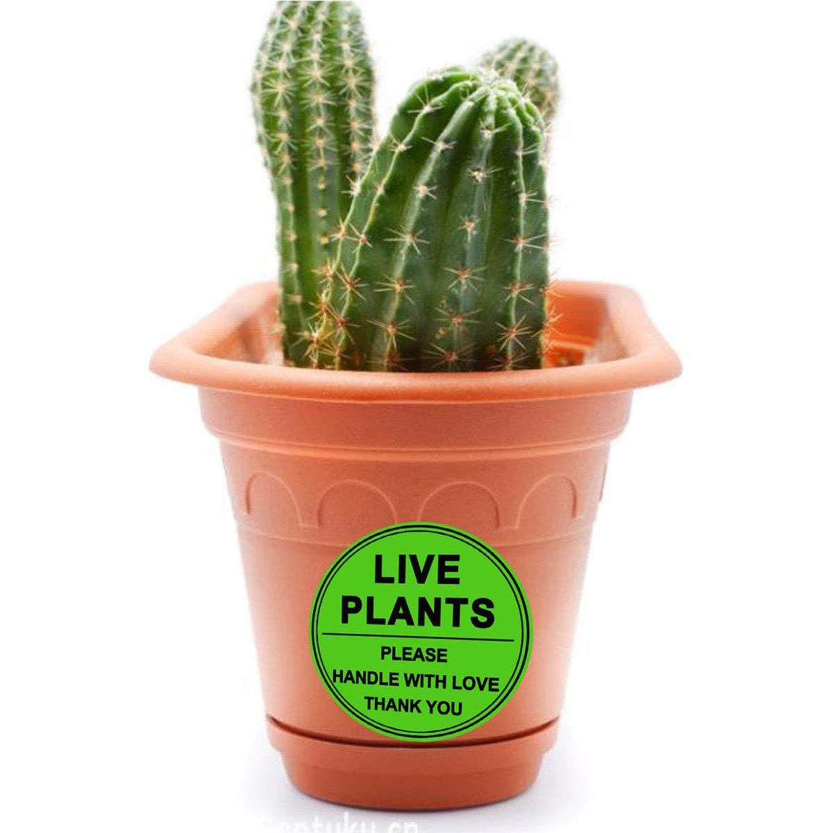 3 Inch Live Plants/Handle with Love Stickers - Green Fragile Handling Shipping Warehouse Pallet Stickers 250 Adhesive Labels (Green)