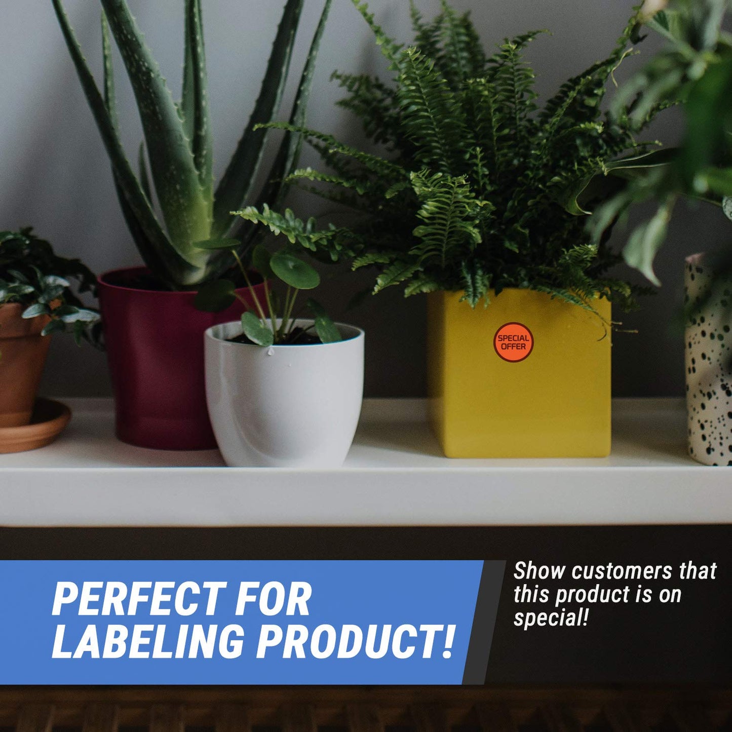 600 Special Stickers - 2 Rolls of 300 Special Labels - 1.5" Round Special Label Offers Price Point of Sale Pricing Stickers Inventory Control Grocery Retail Store Promotion Clearance Labels