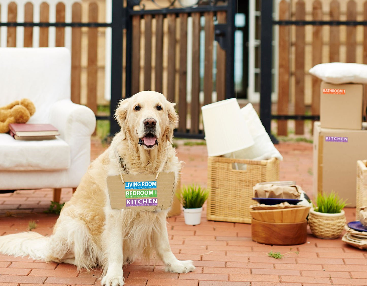 250 Home Moving Labels for 1 Bedroom House. 50 Labels Per Room, 5 Pre-Printed Color-Coded Labels, Includes Fragile Moving Stickers for Moving Boxes, Moving Supplies, Wardrobe Boxes, Apartment Sticker