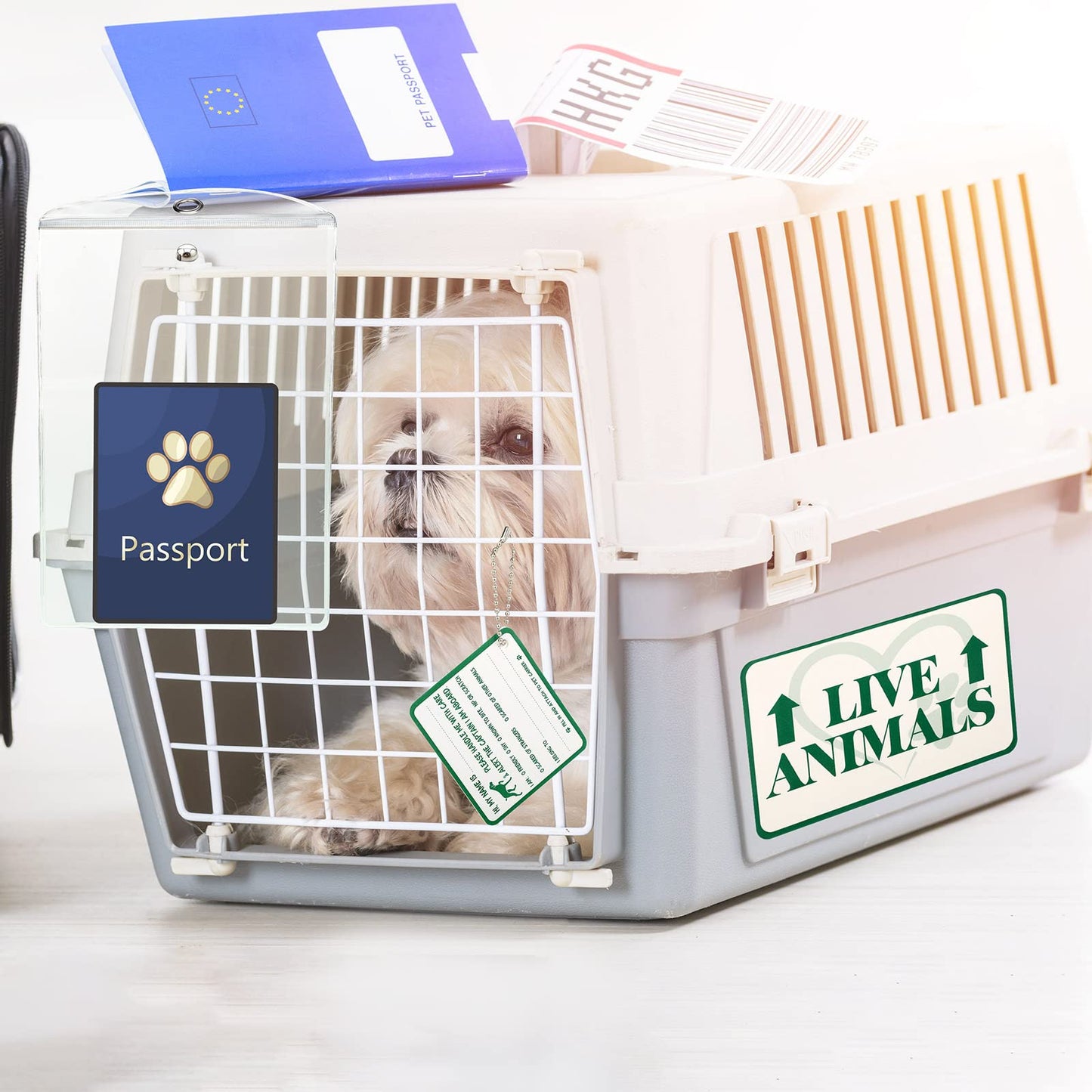 20 Pcs Live Animal Label Set Pet Passport Pouch Fragile Live Animal Travel Stickers for Airline Cargo Crates Shipping and Packing