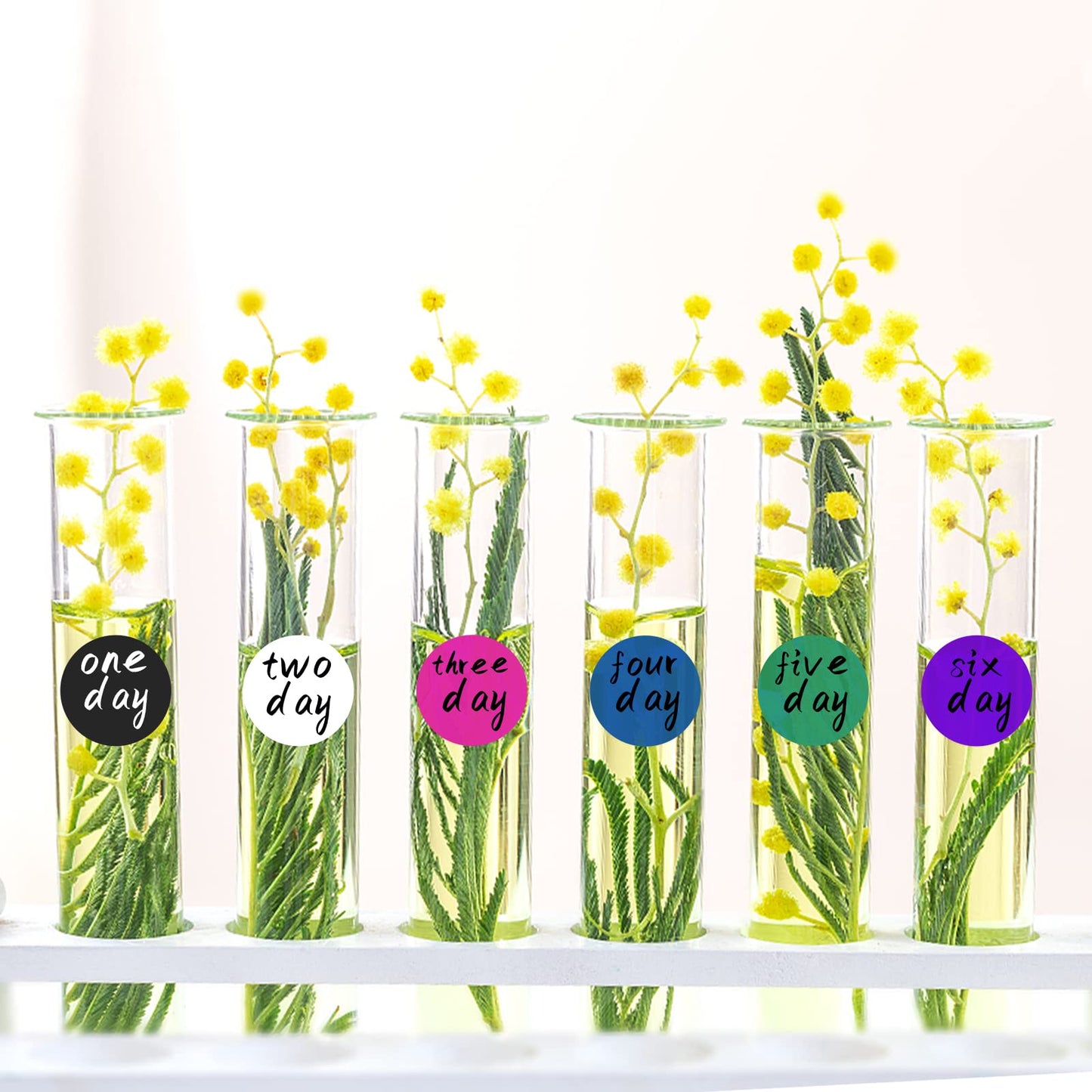 Round Stickers Blue 0.50 Inch Circle Labels with Color Coding Dot Sticker Waterproof Removable Roll of 1000 PCS