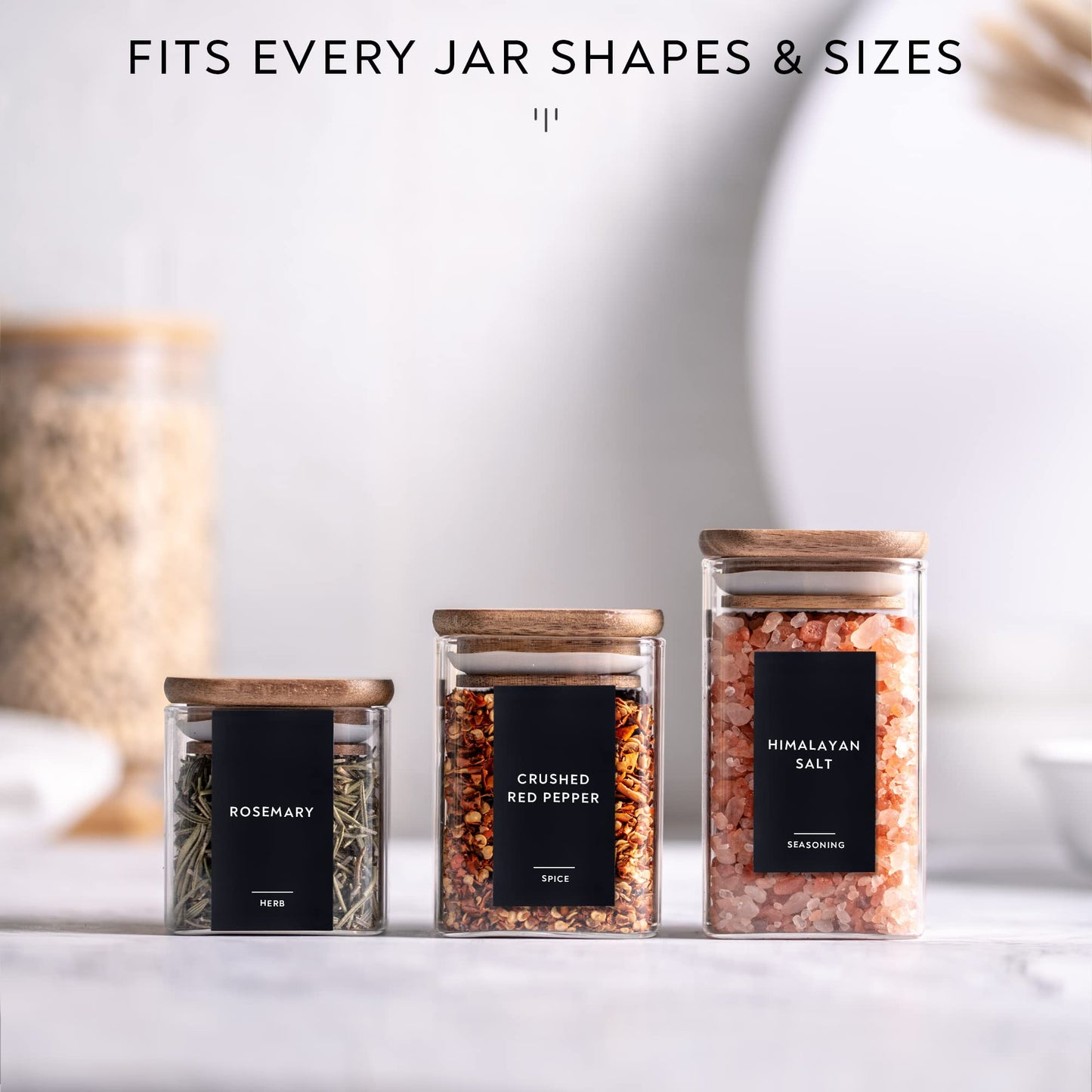 304 Minimalist Spice Label Set, White Text on Black Vinyl Waterproof Label Sticker with Removable Adhesive - Fits on Round, Square and Rectangle Jars - Organize Spice, Herb and Seasonings Spice Labels