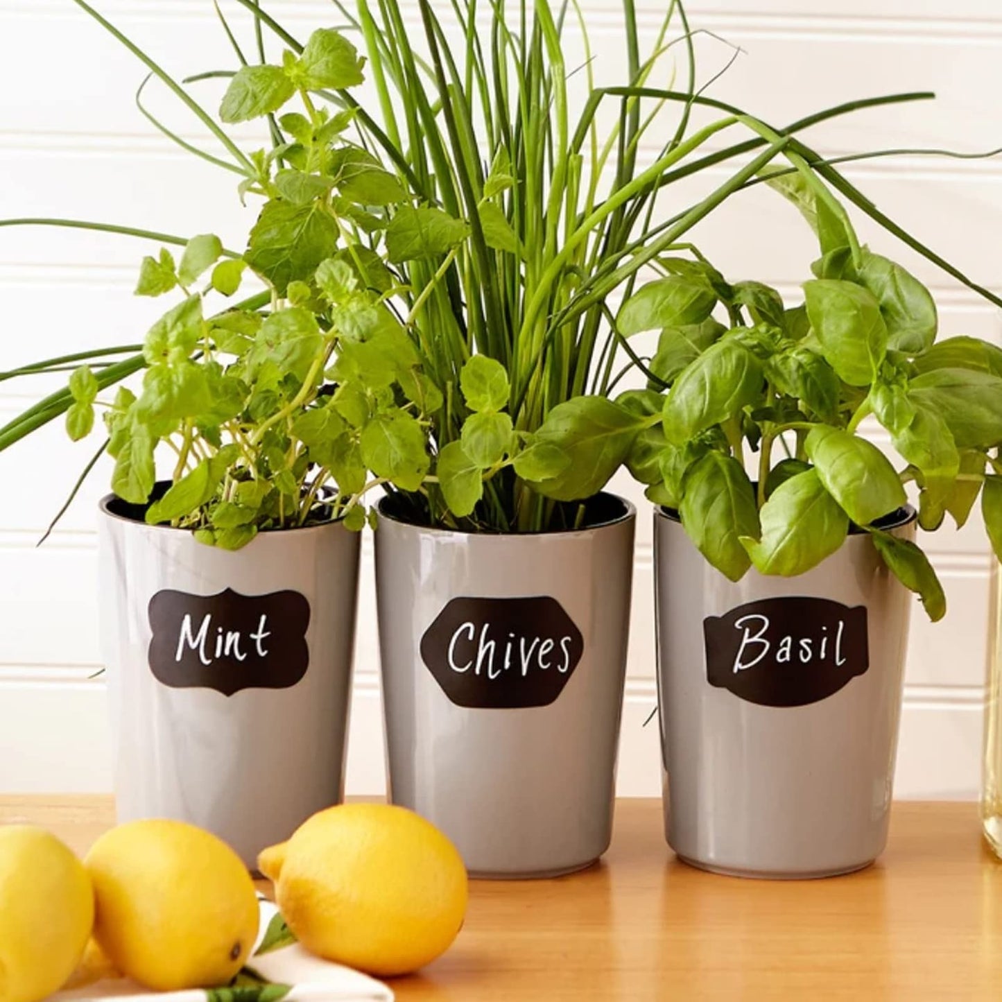 120 Pcs Chalkboard Storage Bin & Container Labels - Waterproof Reusable Chalk Labels for Mason Jars - Liquid Chalk Markers (2 Included) - Perfect for Parties & Weddings 1 style (120pcs)