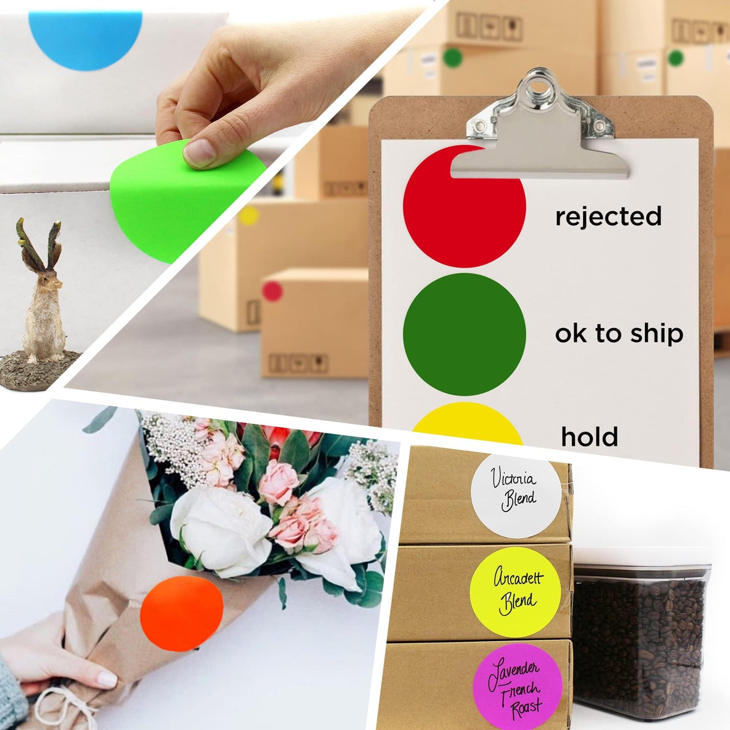 ChromaLabel 3 Inch Round Sticker Labels, High Visibility Permanent Sticky Dots Color Coding Label, Easy to Write On Color Coded Stickers - 500 Colored Labels per Roll - Matte Finish Fluorescent Green 3"