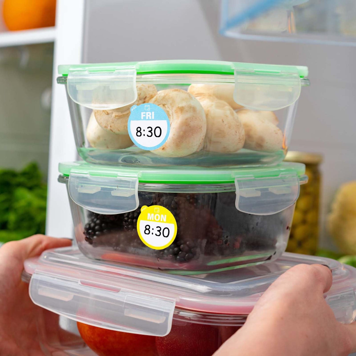 3500pcs Removable Days of The Week Stickers Round, from Monday to Sunday Food Label Weekday Stickers Dissolvable Food Tab Tag Waterproof Expiration Date Decal for Fruit Container Kitchen Restaurant