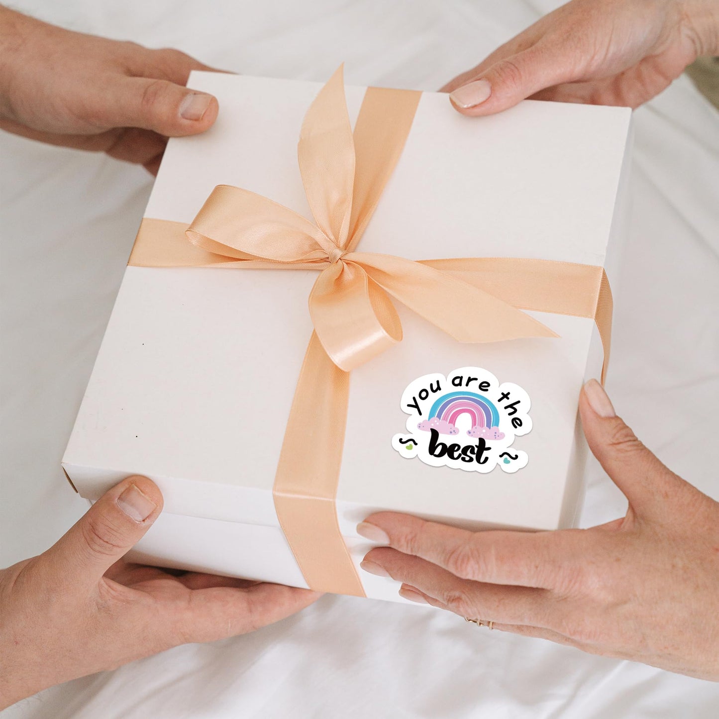 You are The Best Thank You Stickers - Rainbow Design Business Stickers, 500 PCS for Small Business Packaging & Shipping You Are the Best