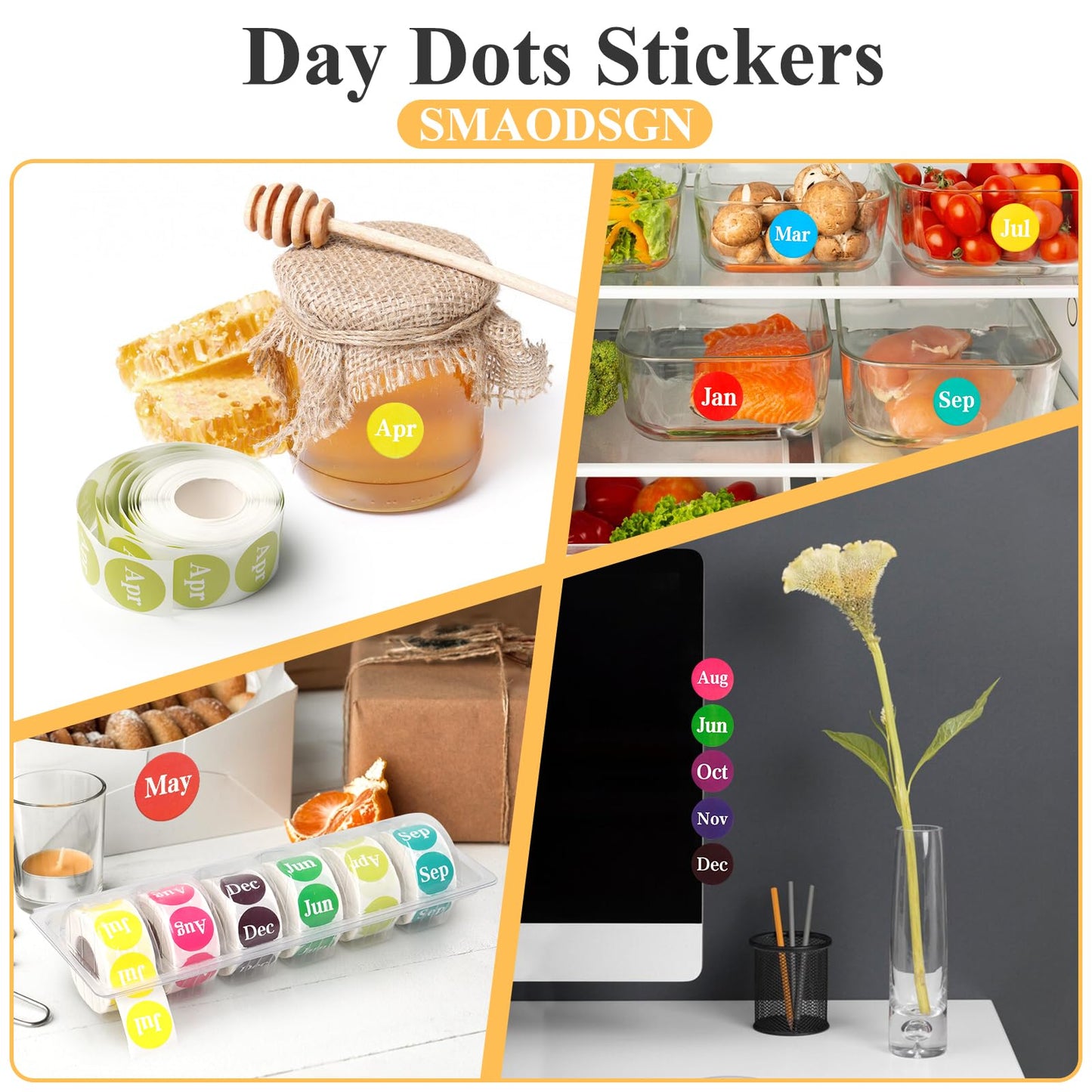 2 Pcs Monthly Label Holder Organizer with 6000 Pcs Round Month Labels Months of The Year Labels Expiration Date Stickers Food Labels Stickers Removable Labels Color Coding Label Stickers