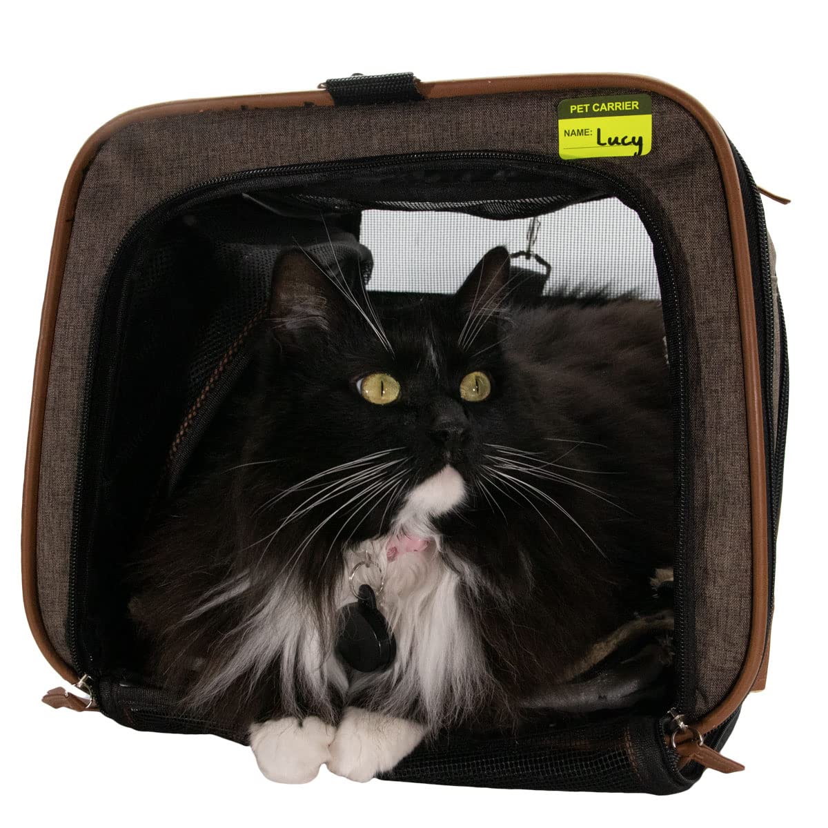 Pet Carrier Veterinary Labels 1 x 1.5 Inch 500 Total Stickers