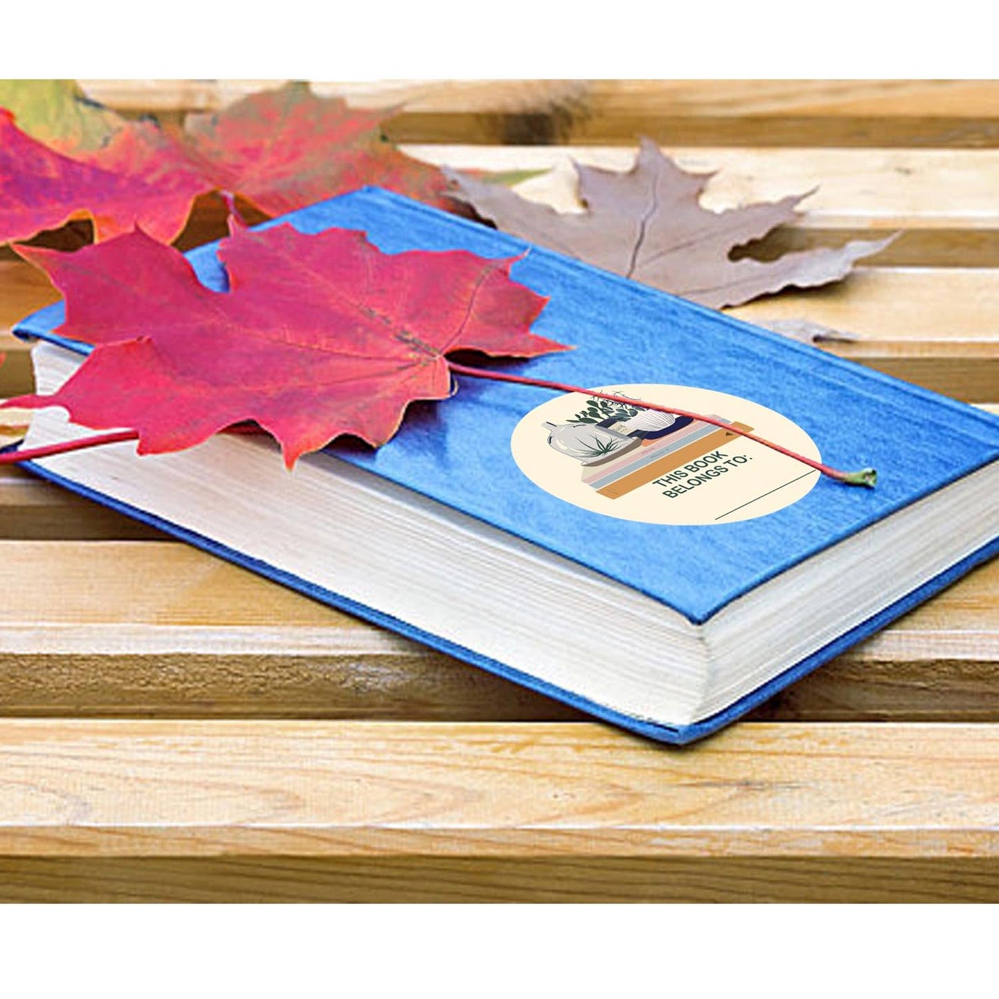 120Pcs This Book Belongs to Stickers Book Plates Labels 2x2 Inch Book Name Labels for Kids Book Fans Custom Gifts for School Teacher Supplies