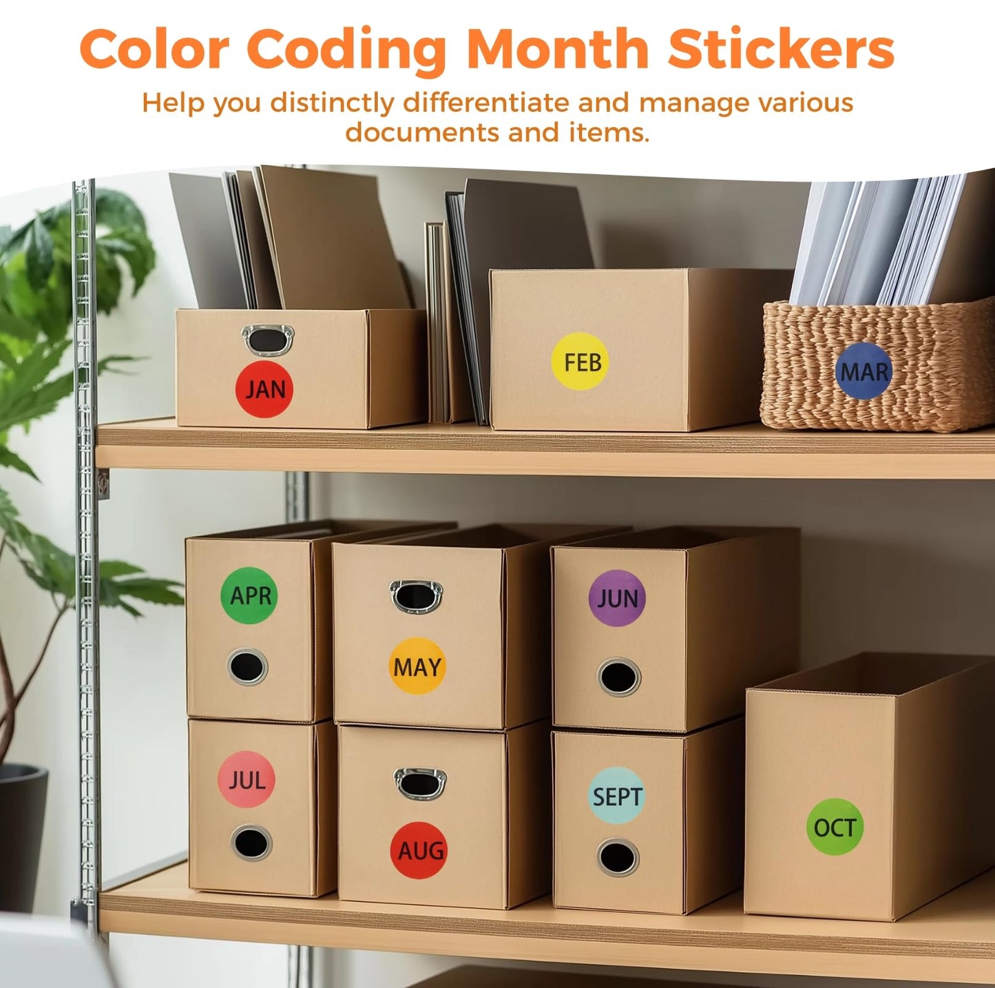 OMISTAR 4800 Pcs Month Stickers, 12 Months of The Year, Round Color Coding Stickers, Self-Adhesive Planner Labels, 50 Labels Per Sheet (96 Sheets)