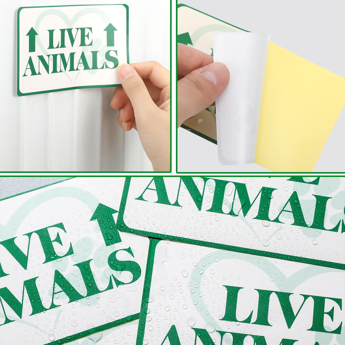 20 Pcs Live Animal Label Set Pet Passport Pouch Fragile Live Animal Travel Stickers for Airline Cargo Crates Shipping and Packing