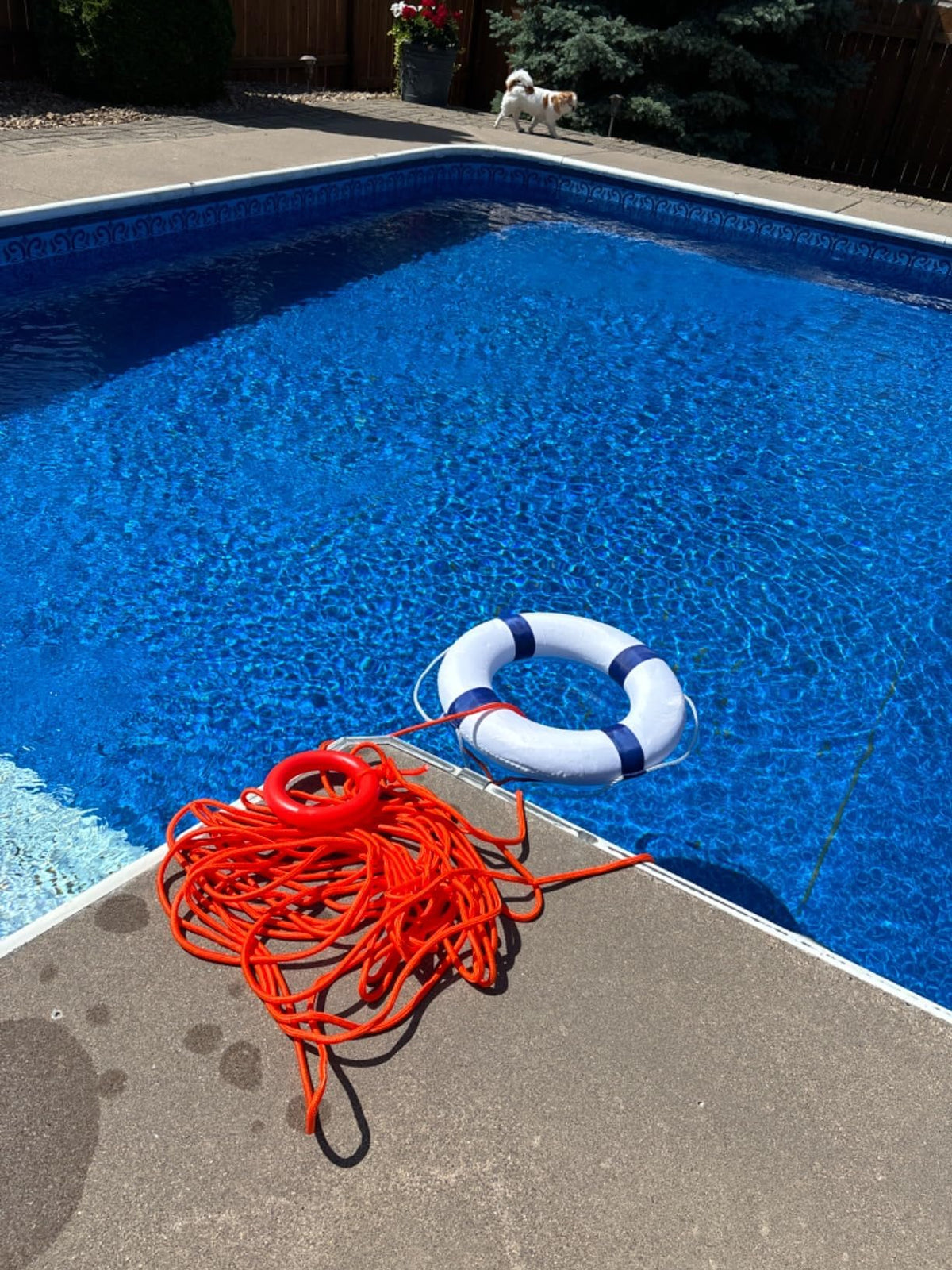 Pool Life Ring Buoy Life Preserver Ring with Lifesaving Rope Reflective Tape Yard Wall Decoration 10.6"/19.68" Orange