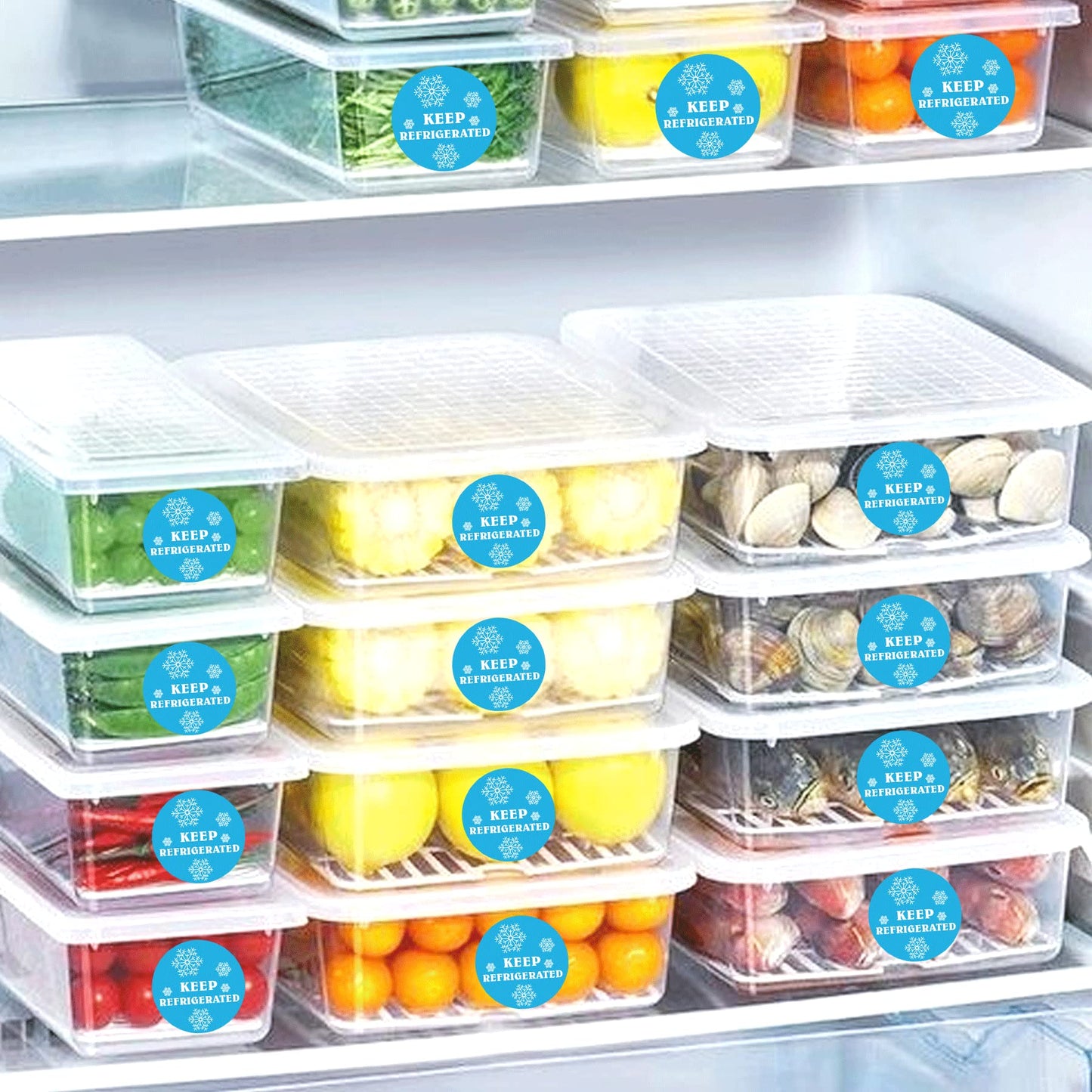 wootile Keep Refrigerated Stickers Waterproof 1.5 Inch Fluorescent Round Dots Blue Keep REFRIGERATED Food Packaging Warning Labels for Pharmacy, Drug Stores,Warning Labels,Health clinics 500Pcs