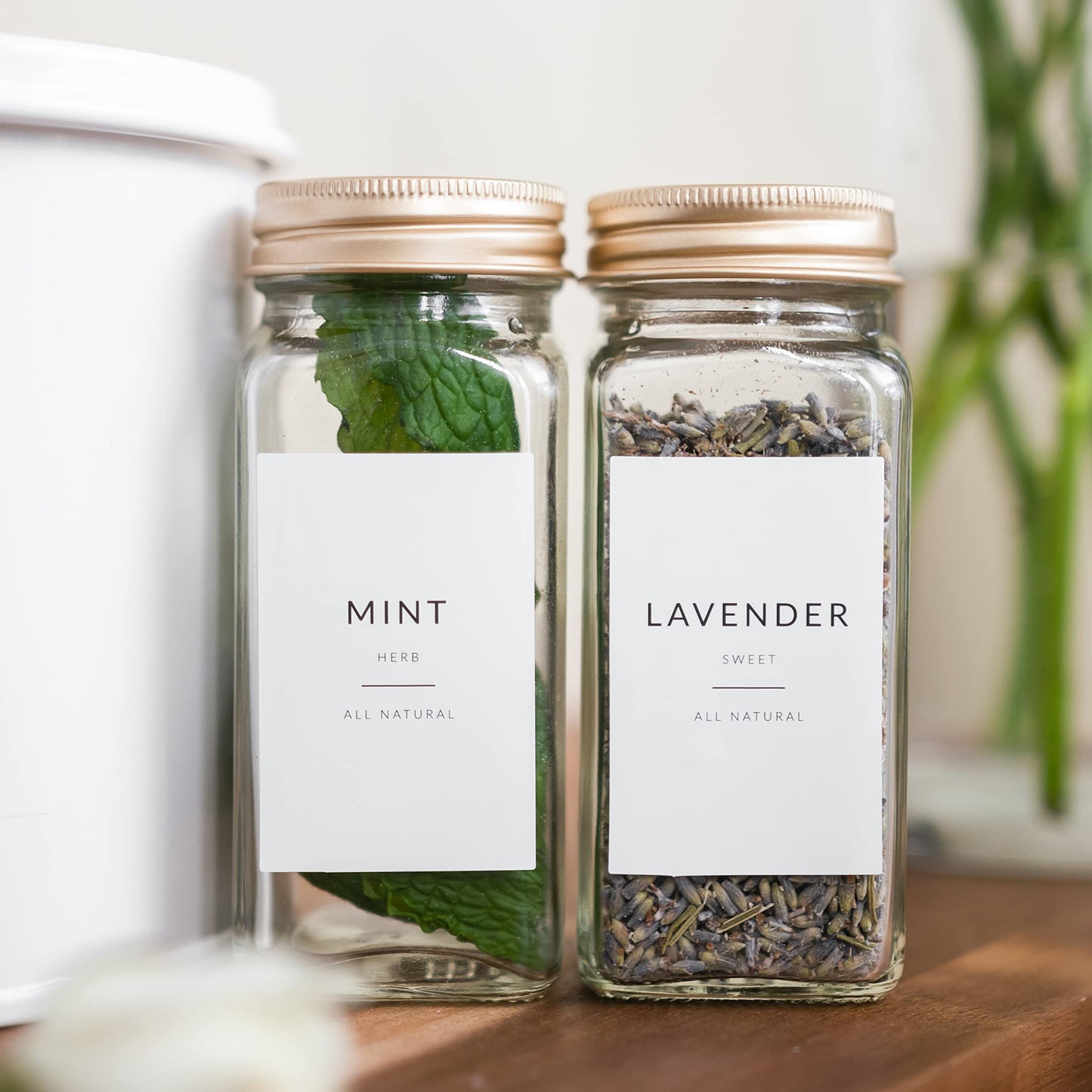 Minimalist Spice Labels for Spice Jars - 146 Spice Jar Labels Stickers for Containers - Spice Stickers Preprinted - Spice Organising Herb Seasoning Kitchen Pantry White Rectangle Spice Labels