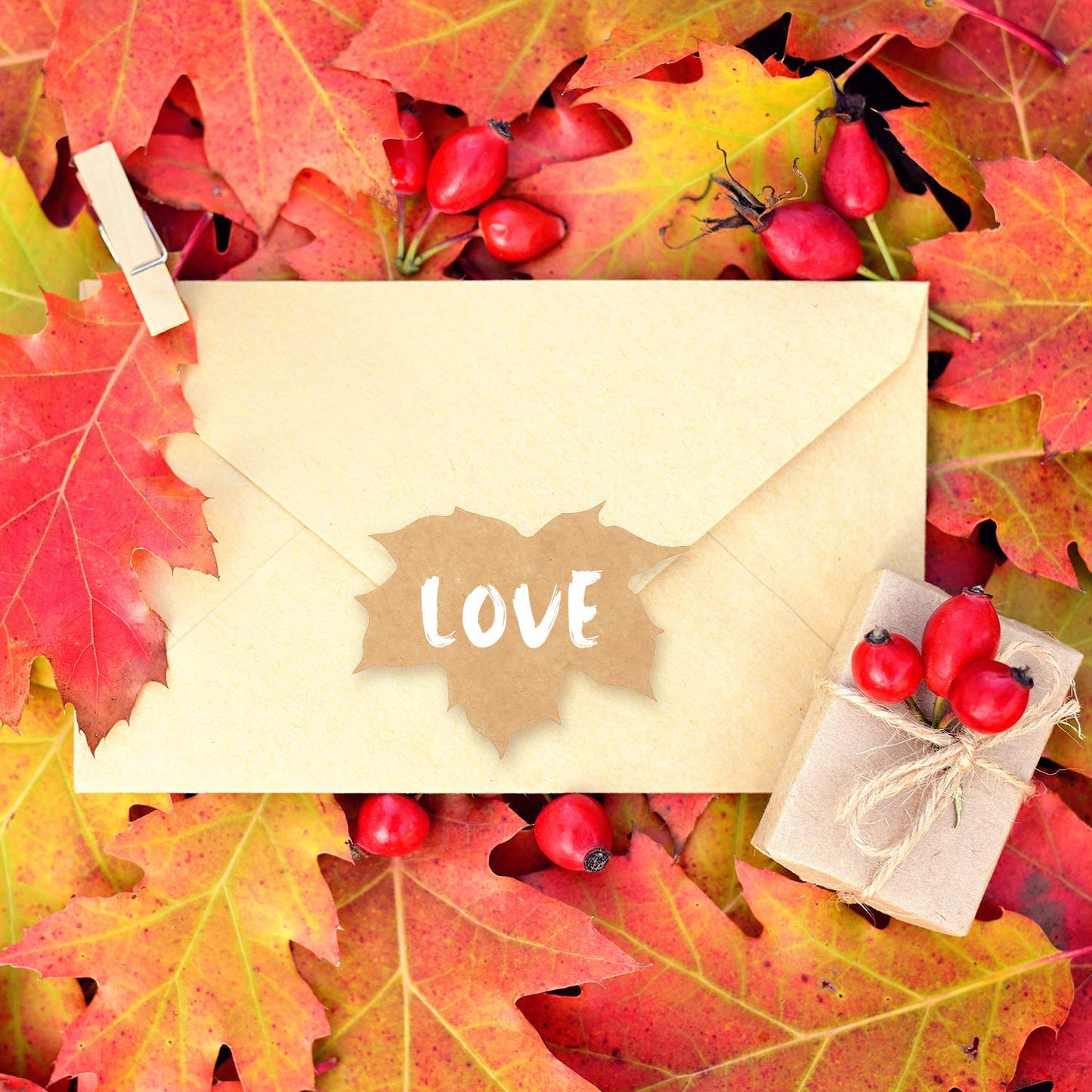 200 Pieces Thanksgiving Fall Stickers Autumn Kraft Paper Labels Stickers Leaves Sticker Pumpkins Kraft Sticker for Decorating Cards,Bottle, Envelopes, Brown Autumn Label for Halloween Party Favor