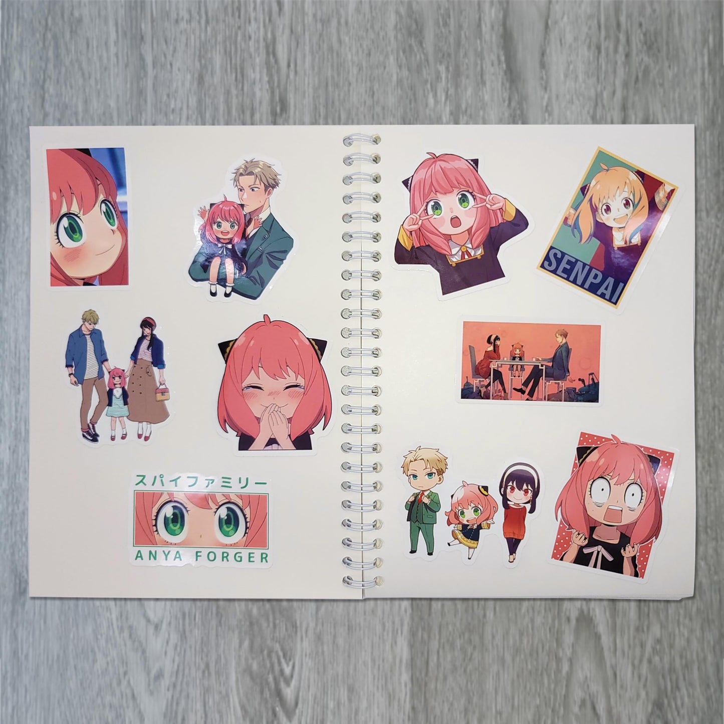 1 Pack Sticker Book, Reusable Sticker Book with Plastic Spatula, A5 Blank Sticker Book Collecting Album Sticker Collecting Book for Sticker Organizer Collecting Storage (Galaxy Aurora - Pale Pink) Galaxy Aurora - Pale Pink