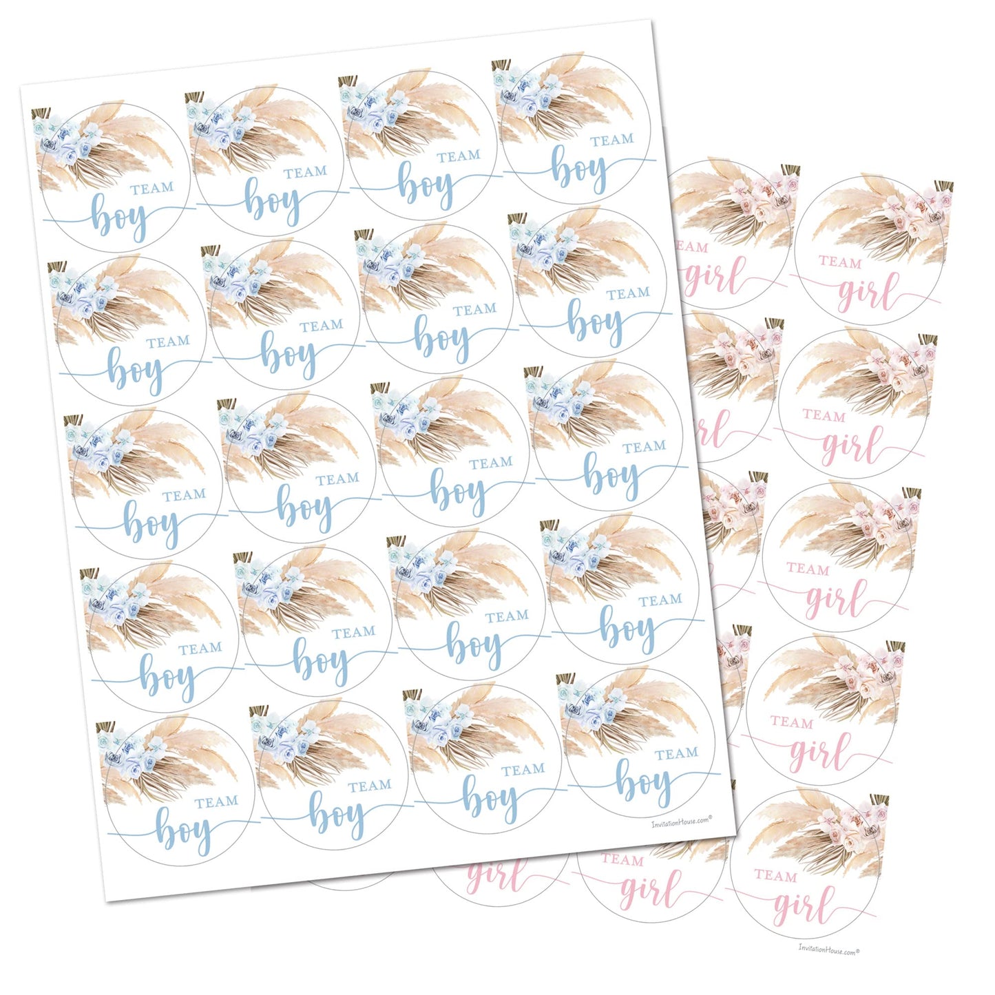 Pampas Grass Team Girl, Team Boy Gender Reveal Stickers - 40 Labels (20 of Each Design)