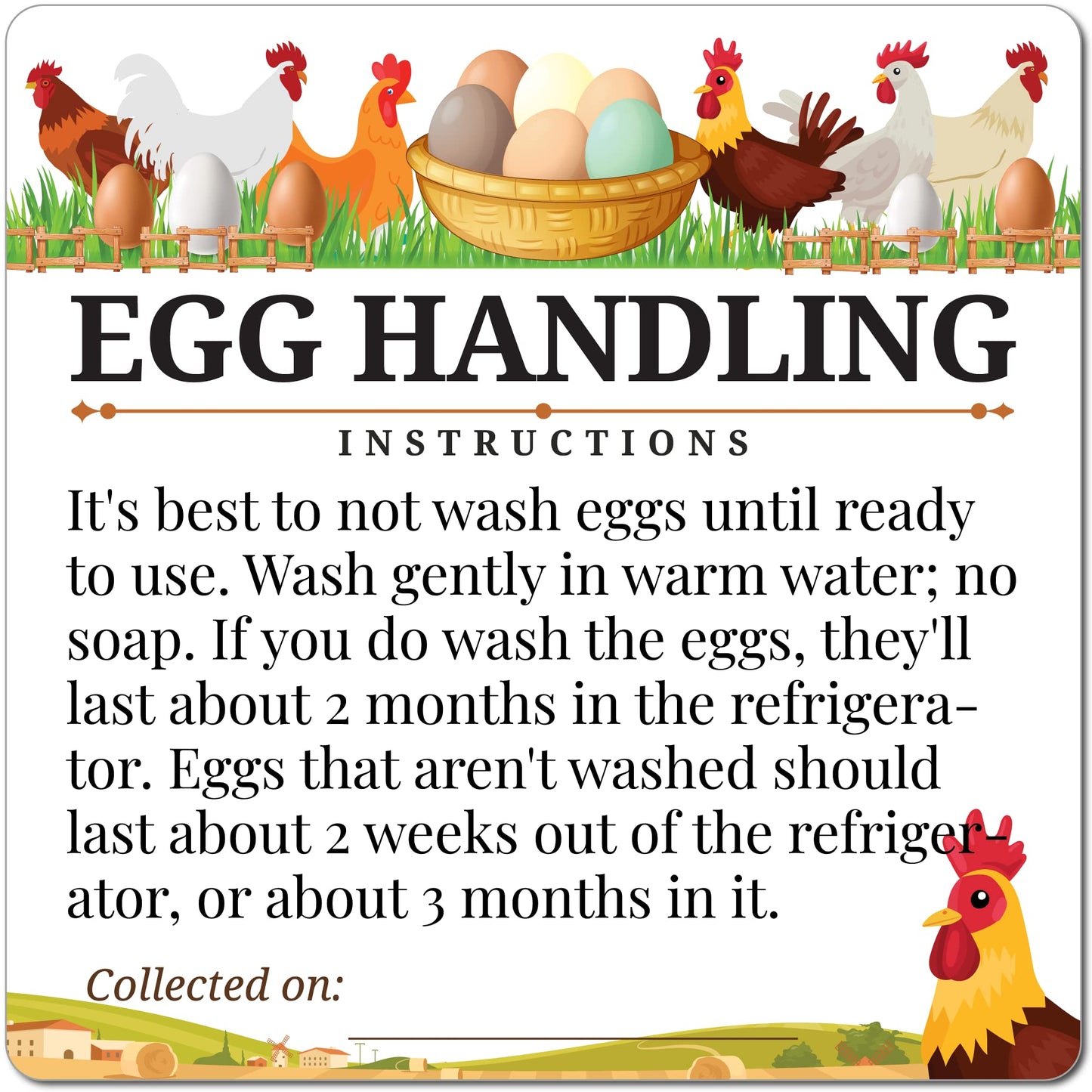 100pcs Premium Fresh Farm Eggs Handling Care Instructions Stickers Labels Accessories | 4 6 12 15 18 30 48 50 Egg Blank Cartons Basket Box Container Storing Extra Organizer (M02-3SS)