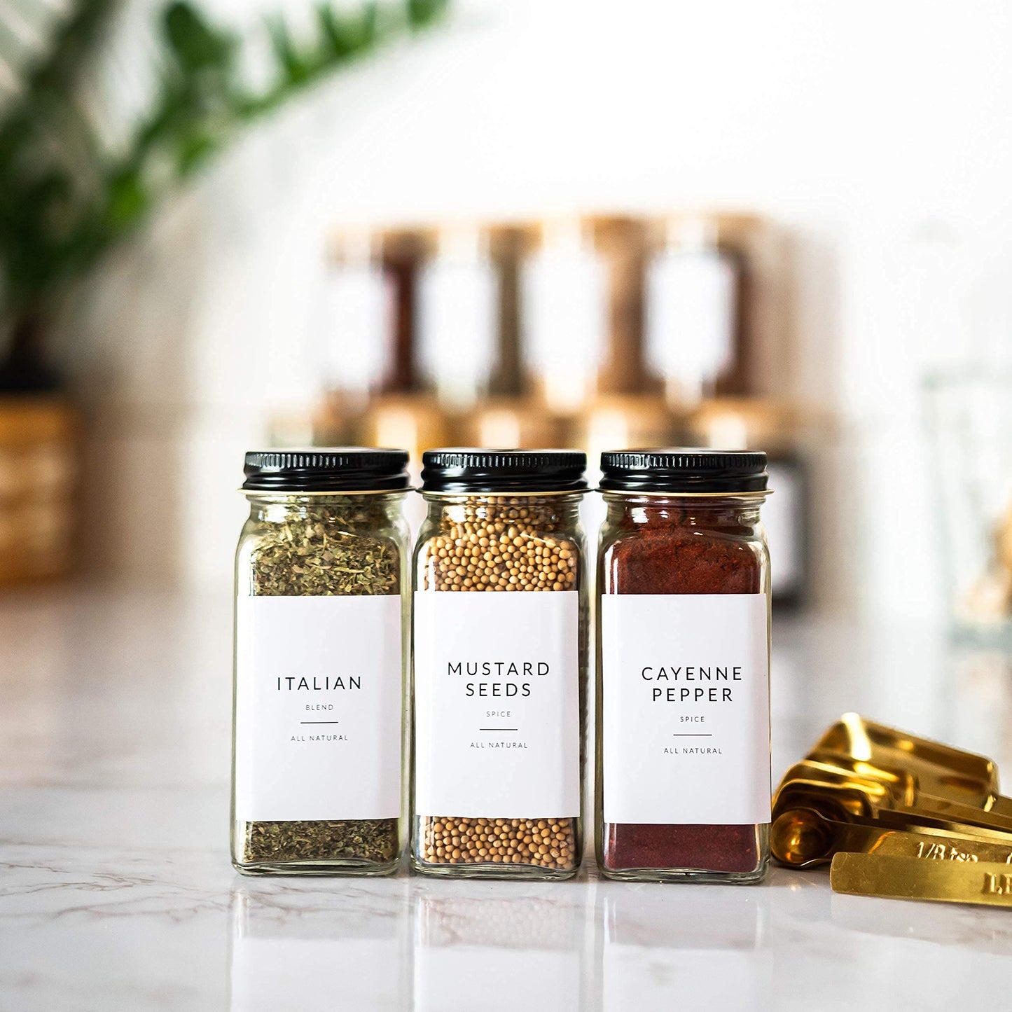 Minimalist Spice Labels for Spice Jars - 146 Spice Jar Labels Stickers for Containers - Spice Stickers Preprinted - Spice Organising Herb Seasoning Kitchen Pantry White Rectangle Spice Labels