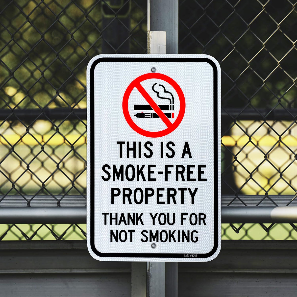 T&R (2 Pack) Large No Smoking Sign, Thank You For Not Smoking Sign, 18" x 12" Engineer Grade Reflective Sheeting, Rust Free Aluminum, Weather Resistant, Waterproof, Fade Resistant, 2 Pre-drilled Holes 18" x 12” - 2 Pack - No Smoking