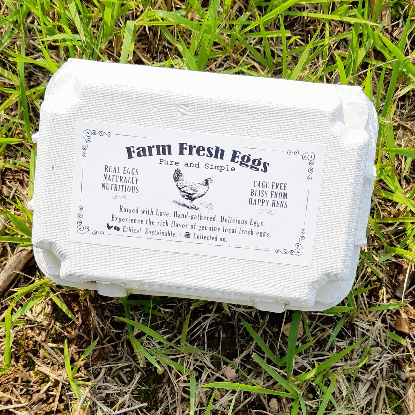 100 Sheets Egg Carton Labels 4 x 2" Stickers Decal Farm Fresh Eggs Chicken coop Supplies Blank Cartons 6 12 15 18 30 48 50 Count Basket Box Container (T01617-100)-L8 Vintage Hen Rectangle 4" x 2" (100 Sheets)