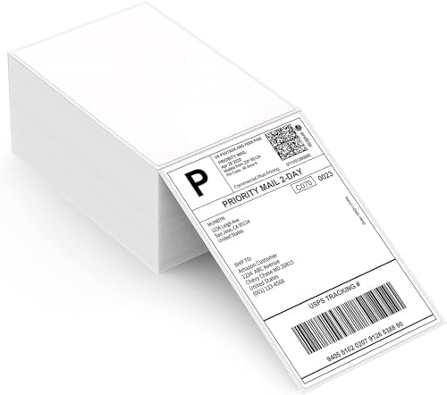 MUNBYN ILH03 5-in-1 Desk Organizer with Drawers, Hooks+Thermal Direct Shipping Label (Pack of 500 4x6 Fan-Fold Labels)