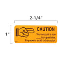 ChromaLabel 1" x 2.25" 3 Assorted Account Receivable Labels, 250/Box 1" x 2.25" Collections Kit