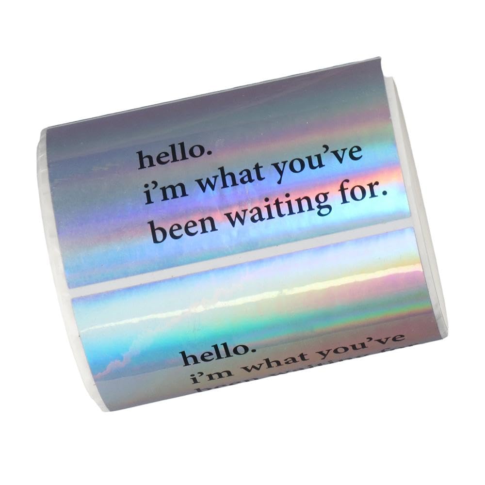 dohobby 350 Pcs Self-Adhesive Silver Sticker Labels,Rectangle Shape Labels,Hello I'm What You've Been Waiting for Stickers,2 x 3.2 Inch