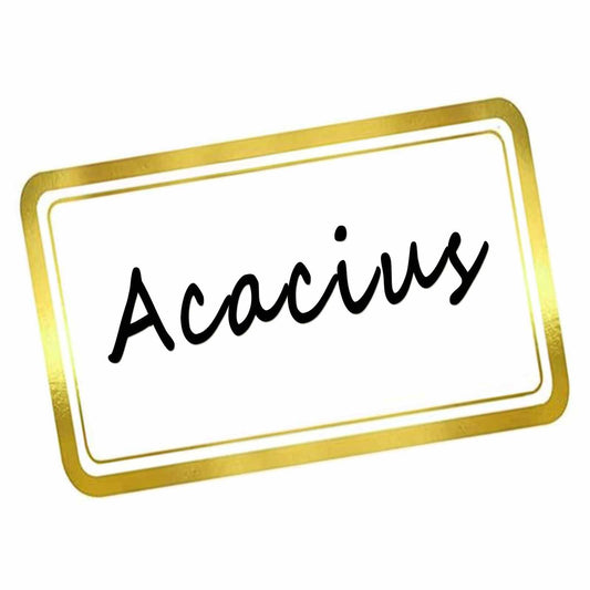 DUGUTUL Elegant Foil Stamped Name Tags Stickers - 200 PCS Set of Premium Metallic Name Labels with Adhesive - Perfect for School, Office, Home, and Events, 2" x 3" - Gold A