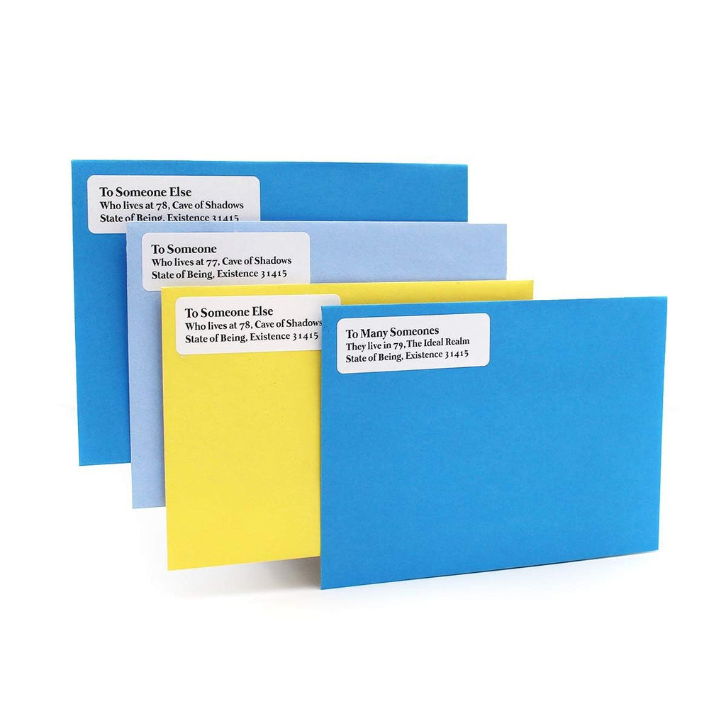 ChromaLabel 1 x 3 inch printable laser and inkjet labels on sheet, 20 labels per sheet, 50 sheets in pack, total 1000 labels