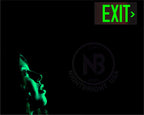 Photoluminescent Exit Signs | Pack of 2 | OSHA-ASTM-ANSI American Standard | Aluminum 14.25" x 7.5" | Weather Proof | NightBright USA Item: NCC-R II