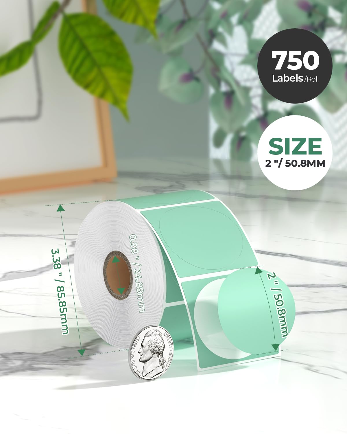 2" Green Circle Thermal Stickers 750 Labels/Roll+2" Shell Texture Round Thermal Labels 500 Labels/Roll