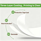 3 1/8" x 170' Sticky Thermal Paper, 6 Rolls, Linerless, BPA Free