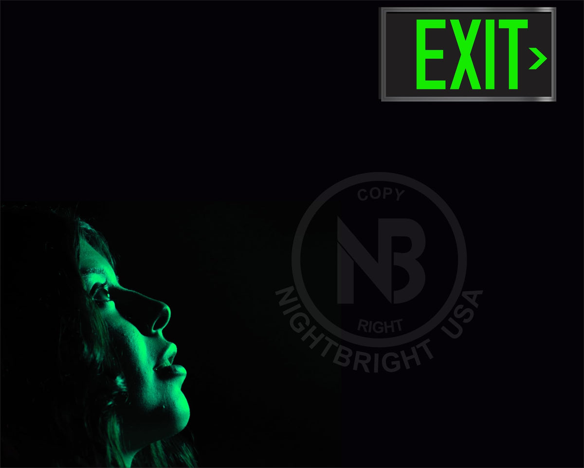 Photoluminescent Exit Sign Red - Framed Flat Wall Mount. UL 924 Code Approved/IBC/NFPA 101/Item: FRUL-050-R