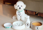 500 Pet Black Footprints Thank You Labels per Roll,Puppy Paw Stickers for Cookie Bag,Gift Box (Pack of 2) small (Pack of 2)