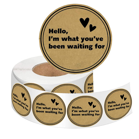 Happy Mail Stickers,I'm What You've Been Waiting for,Small Business Labels,Packaging Envelope Seals,Postage Tags,Shopping Labels for for Small Business Boutique Bags & Merchandise Bags 2 Inch,500 Pcs