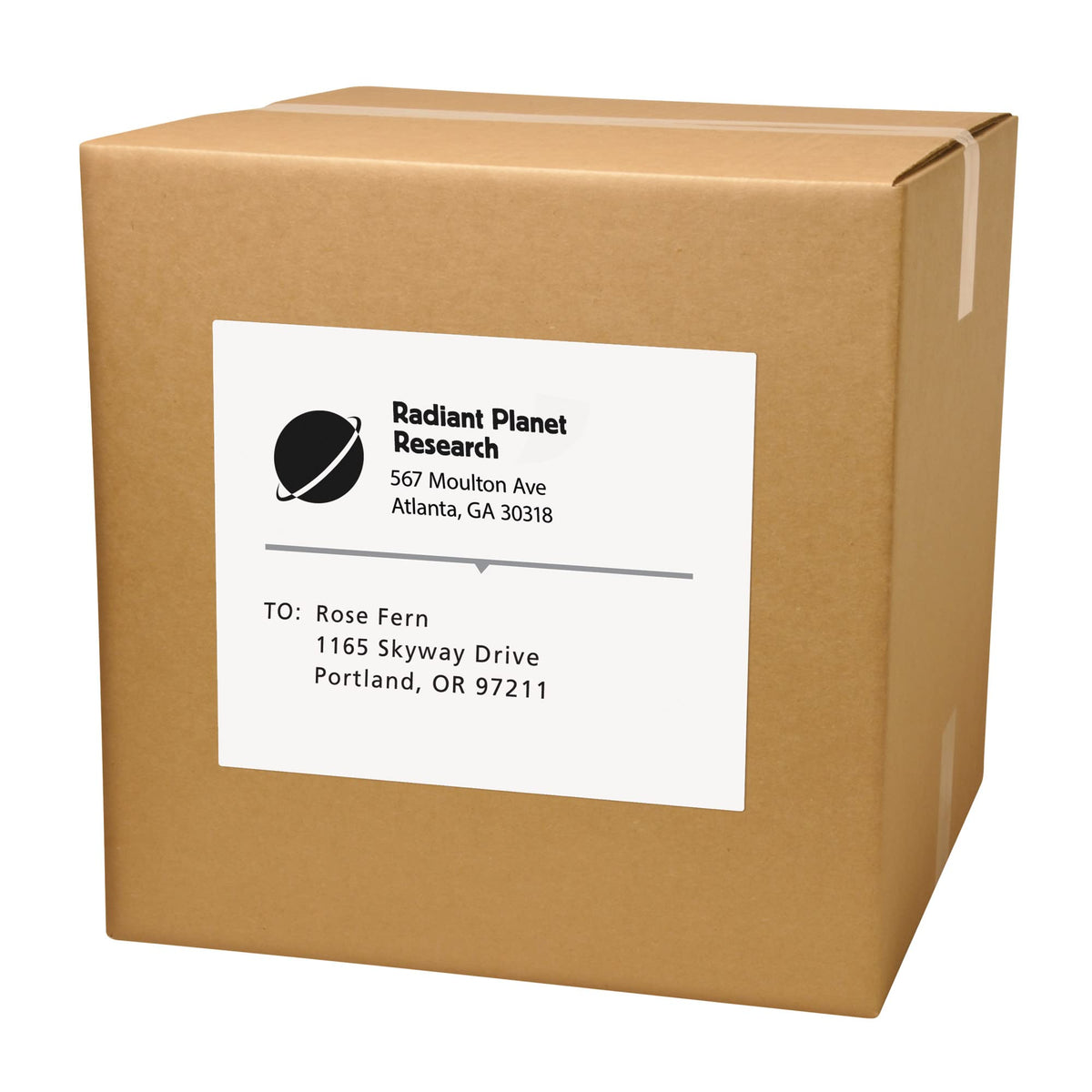 Avery Printable Shipping Labels for Copiers, 8.5" x 11", White, 100 Blank Mailing Labels (5353) 0