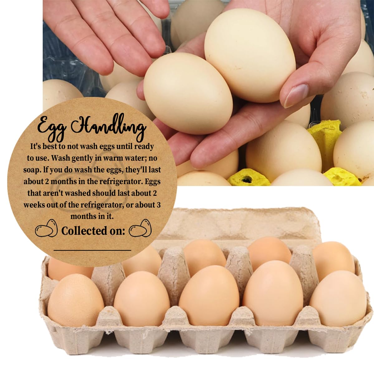 Farm Fresh Eggs Carton Kraft Paper Farm Fresh Egg Care Stickers Egg Handling Labels Self Adhesive Egg Packaging Stickers for Chicken Eggs Freshness & Storage,2 in