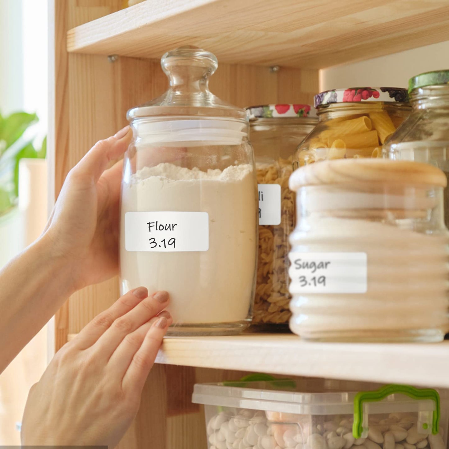 L LIKED Dissolvable Food Labels Stickers,Roll of 500 Labels,7/8"x 2"Adhesive Stickers(Blank White) 0.9"X2"-500 Labels