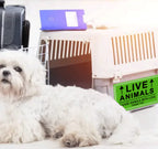 Live Animals Shipping Stickers for Pet Crate Airline Cargo Labels 250Pcs