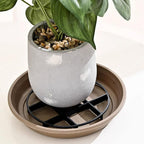esowemsn 6pcs Plastic Pot Saucer Rack Stand 4.7inch Vase Lifter Bottom Drainer Flower Pot Level Feet for Indoor Outdoor Garden