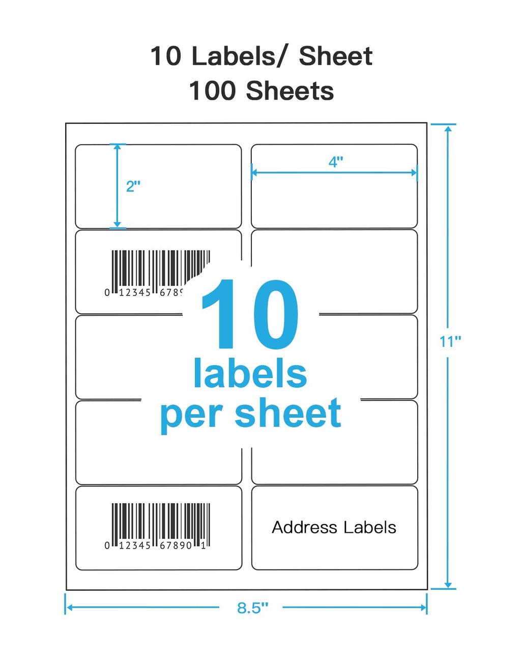 Shipping Address Labels, 2"x 4" Address Labels, 100 Sheets, 1000 labels 2x4_100P