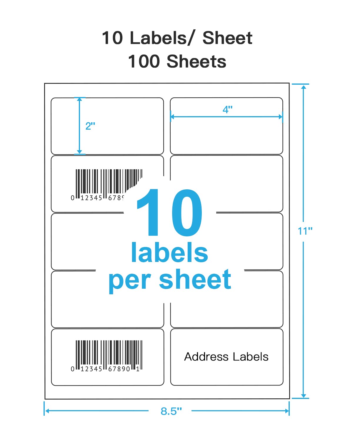 Shipping Address Labels, 2"x 4" Address Labels, 100 Sheets, 1000 labels 2x4_100P