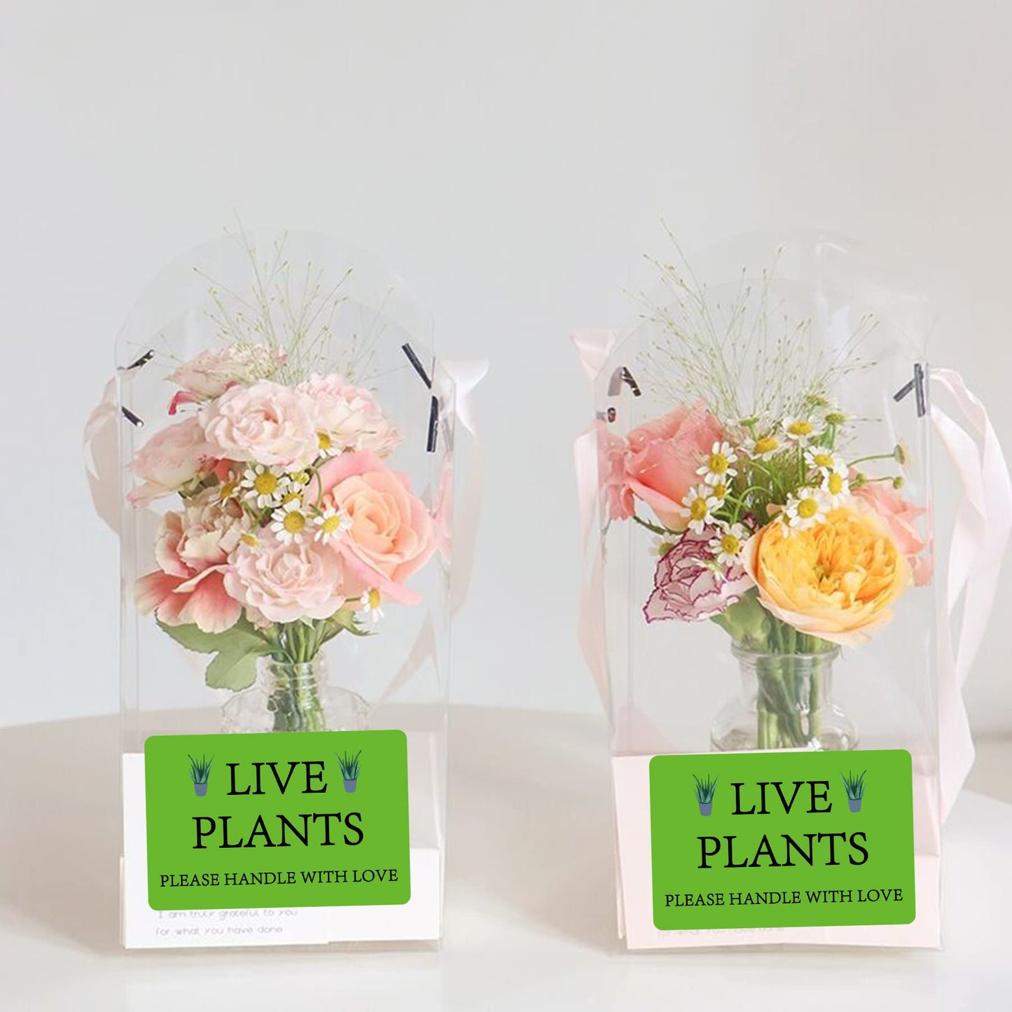 300 pcs Green Live Plants Stickers 2x3 inch Please Handle with Love Stickers Fragile Thank You Shipping Labels for Garden Centers Plants Mailing Delivery Containers Shipping Landscaping,Nurseries
